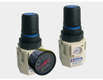 Xingong Pressure Regulating Valve NUR-02, NUR-03, NUR-04 Dimensions Sample Parameter Selection Manual