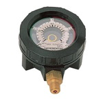 Differential pressure gauge