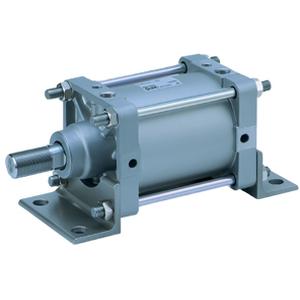 Standard cylinder-CDS2