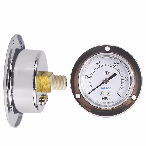 F-GS pressure gauge