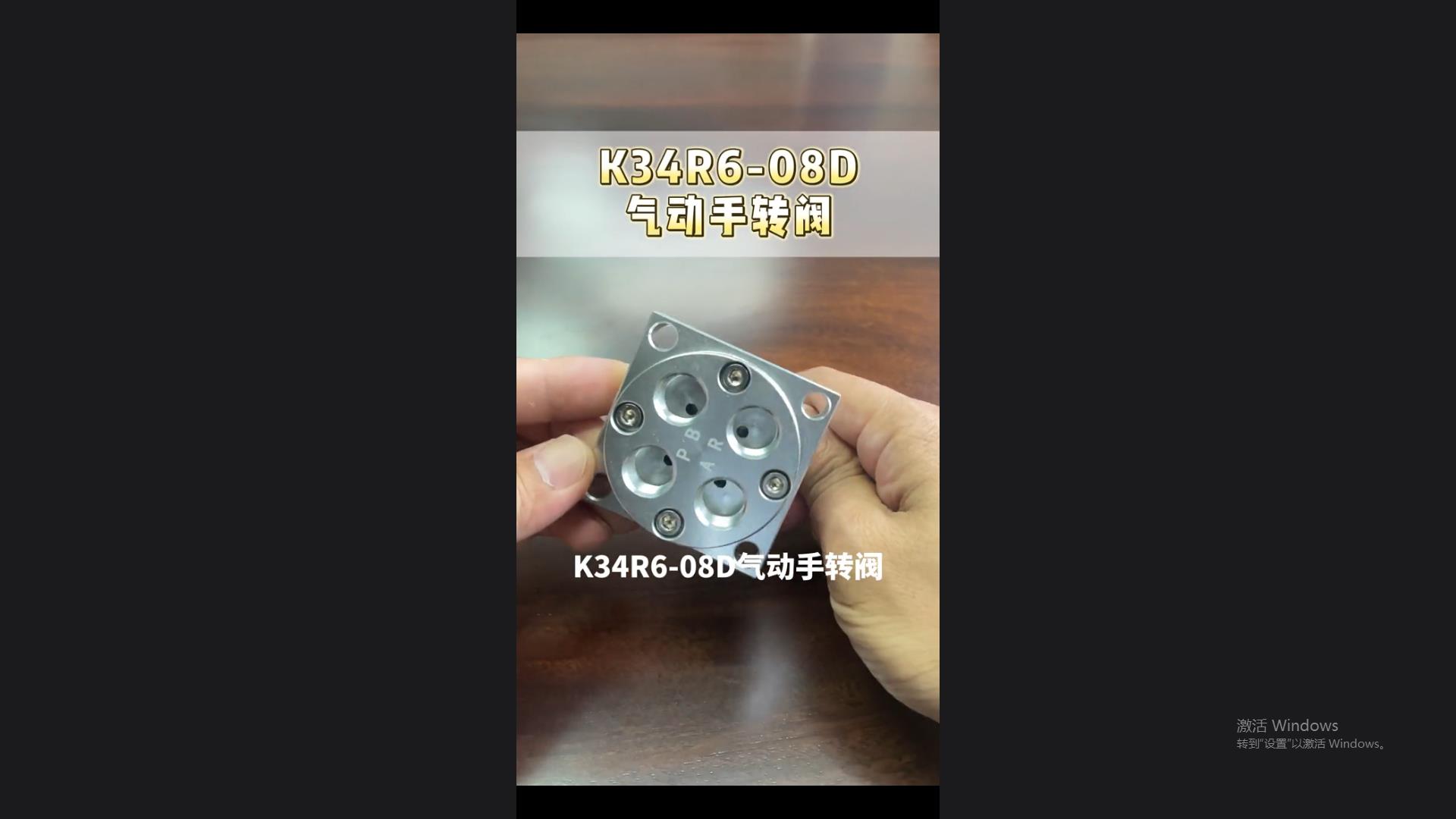 Introduction to each cavity of K34R6-08D pneumatic hand rotary valve PBAR