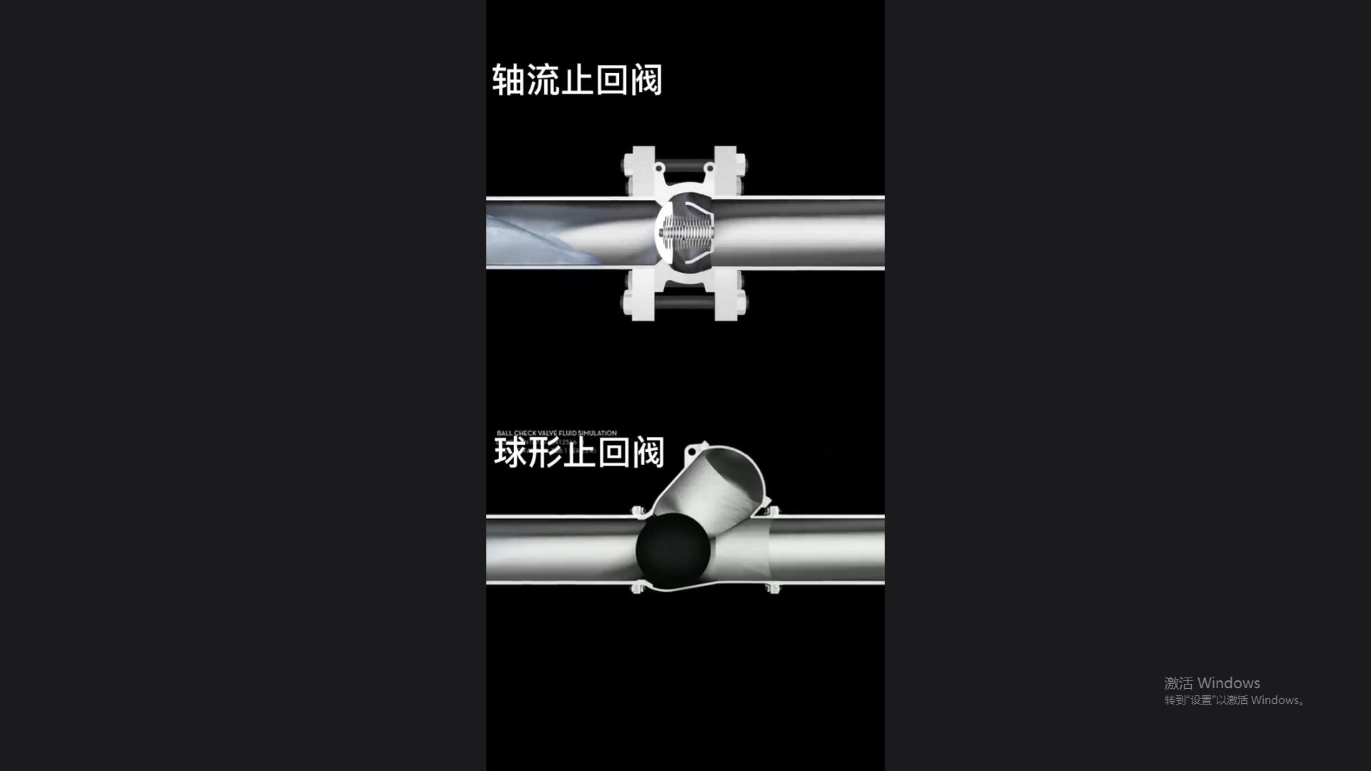 3D animation display of the working principles of axial flow check valve and spherical check valve