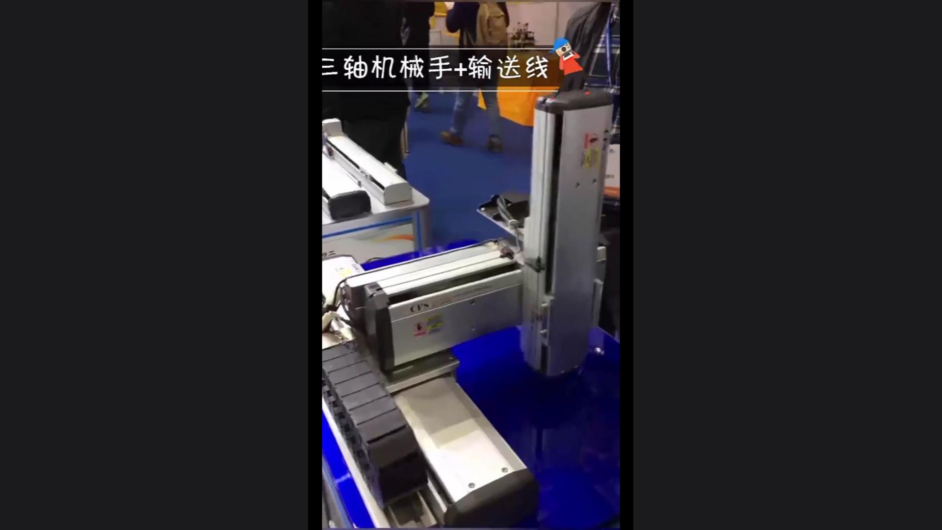 Three-axis robot + conveyor line