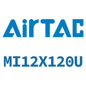 不锈钢迷你气缸 MI12X120U