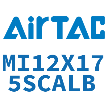不锈钢迷你气缸 MI12X175SCALB