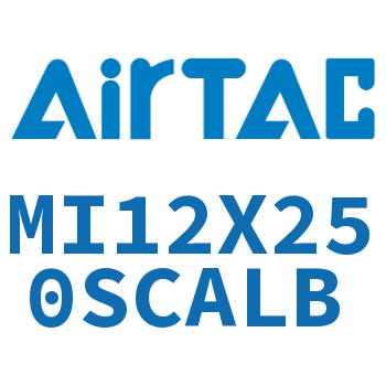 不锈钢迷你气缸 MI12X250SCALB