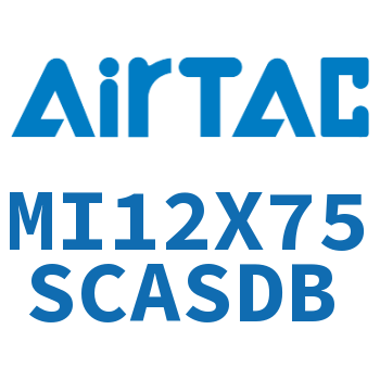 不锈钢迷你气缸 MI12X75SCASDB