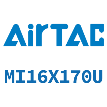 不锈钢迷你气缸 MI16X170U