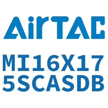 不锈钢迷你气缸 MI16X175SCASDB