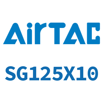 钢管型标准气缸 SG125X10