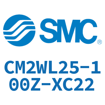 Double standard cylinder-CM2WL25-100Z-XC22