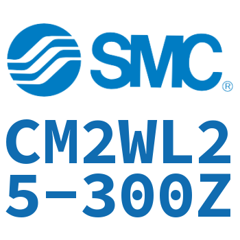 Double standard cylinder-CM2WL25-300Z