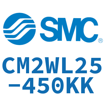 Double standard cylinder-CM2WL25-450KK