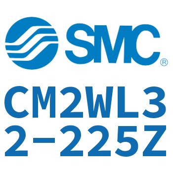 Double standard cylinder-CM2WL32-225Z