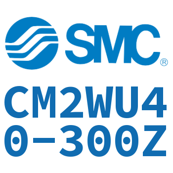 Double standard cylinder-CM2WU40-300Z