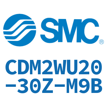 Double standard cylinder-CDM2WU20-30Z-M9B