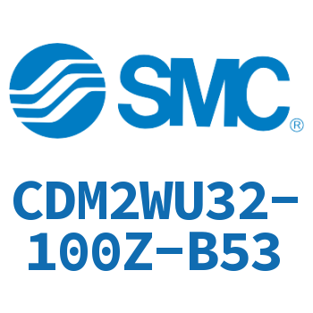 Double standard cylinder CDM2WU32-100Z-B53