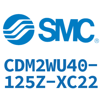 Double standard cylinder-CDM2WU40-125Z-XC22