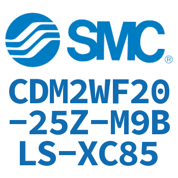 Double standard cylinder-CDM2WF20-25Z-M9BLS-XC85