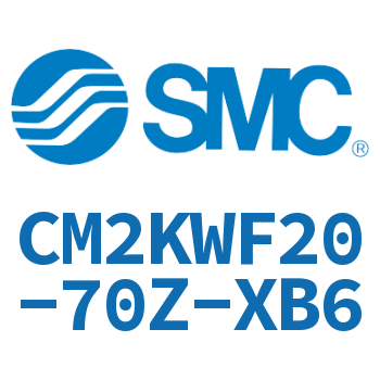 Double rod non-rotating cylinder-CM2KWF20-70Z-XB6