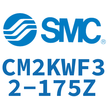 Double rod non-rotating cylinder-CM2KWF32-175Z
