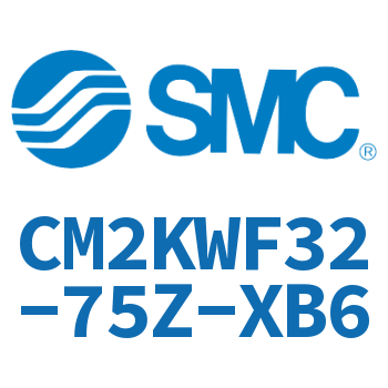 Double rod non-rotating cylinder-CM2KWF32-75Z-XB6