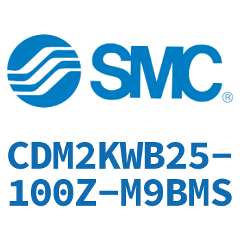 Double rod non-rotating cylinder-CDM2KWB25-100Z-M9BMS