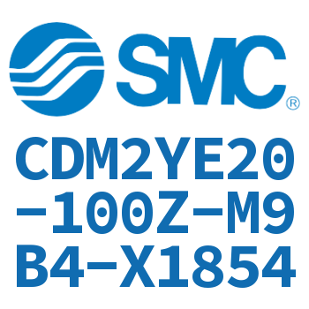 Integrated smooth movement cylinder for earrings-CDM2YE20-100Z-M9B4-X1854