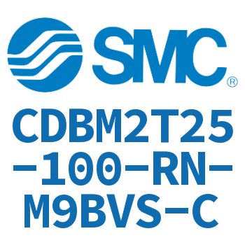 Rodless side trunnion type end lock cylinder-CDBM2T25-100-RN-M9BVS-C