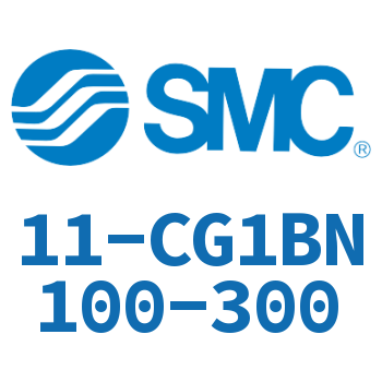 11-CG1BN100-300