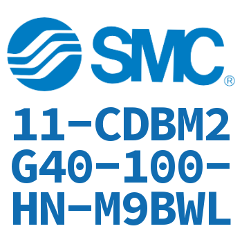 11-CDBM2G40-100-HN-M9BWL