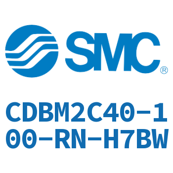 Single earring type end lock cylinder-CDBM2C40-100-RN-H7BW