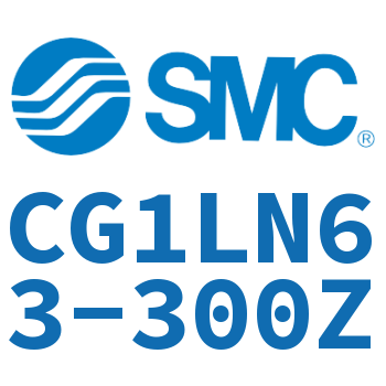 CG1LN63-300Z