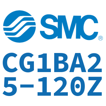 Standard cylinder-CG1BA25-120Z