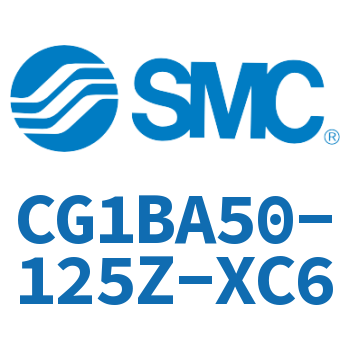 Standard cylinder-CG1BA50-125Z-XC6