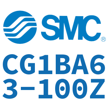 Standard cylinder-CG1BA63-100Z