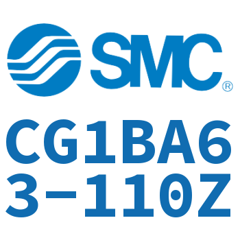 Standard cylinder-CG1BA63-110Z