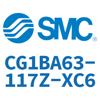 Standard cylinder-CG1BA63-117Z-XC6