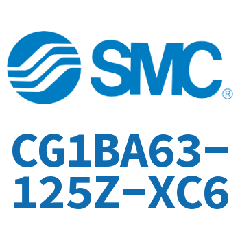 Standard cylinder-CG1BA63-125Z-XC6