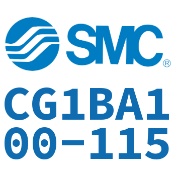 Standard cylinder-CG1BA100-115