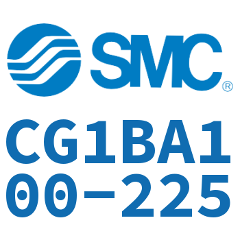 Standard cylinder-CG1BA100-225