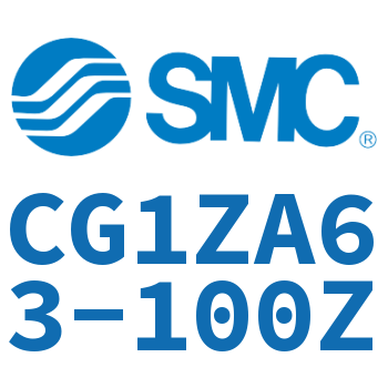 Standard cylinder-CG1ZA63-100Z