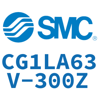 Axial foot type standard cylinder-CG1LA63V-300Z