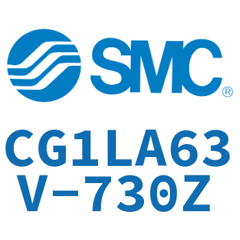 Axial foot type standard cylinder-CG1LA63V-730Z