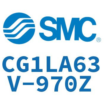 Axial foot type standard cylinder-CG1LA63V-970Z