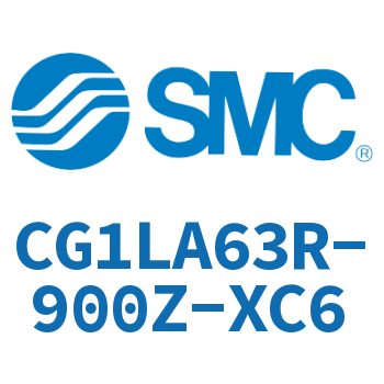 Axial foot type standard cylinder-CG1LA63R-900Z-XC6