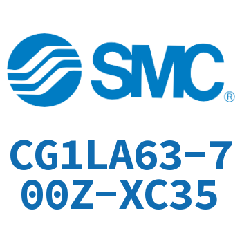 Axial foot type standard cylinder-CG1LA63-700Z-XC35