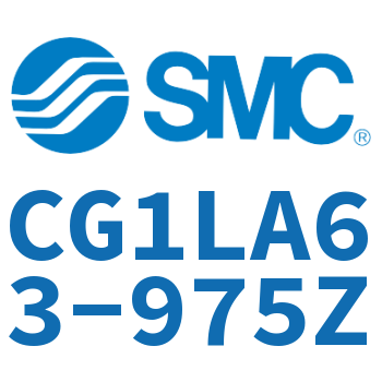 Axial foot type standard cylinder-CG1LA63-975Z