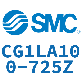 Axial foot type standard cylinder-CG1LA100-725Z