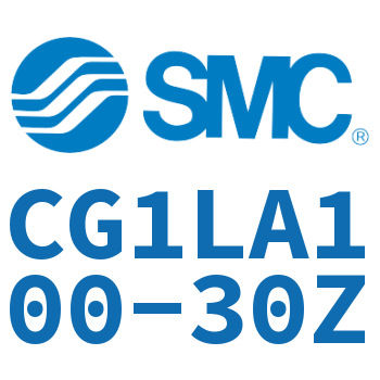 Axial foot type standard cylinder-CG1LA100-30Z